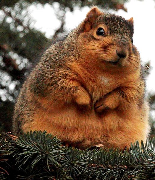 Acid Picdump (147 pics)