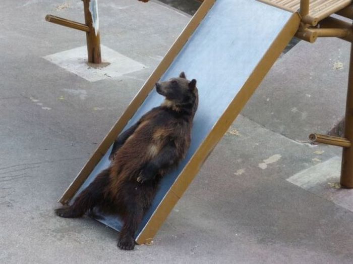 Acid Picdump (147 pics)