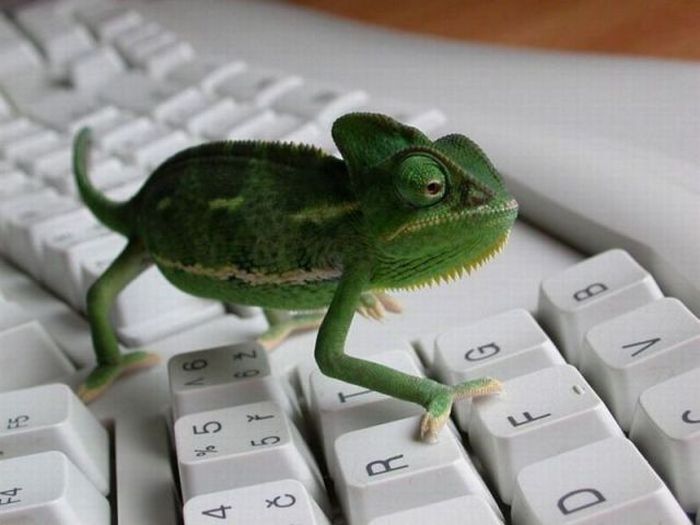 Acid Picdump (147 pics)