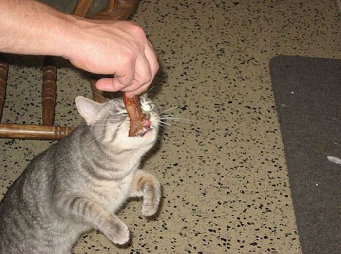 Acid Picdump (147 pics)