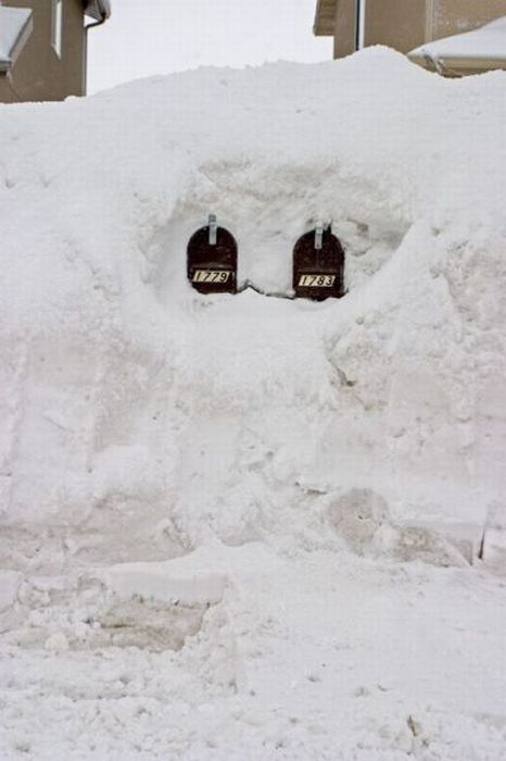Acid Picdump (147 pics)