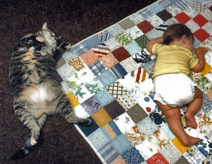 Acid Picdump (147 pics)