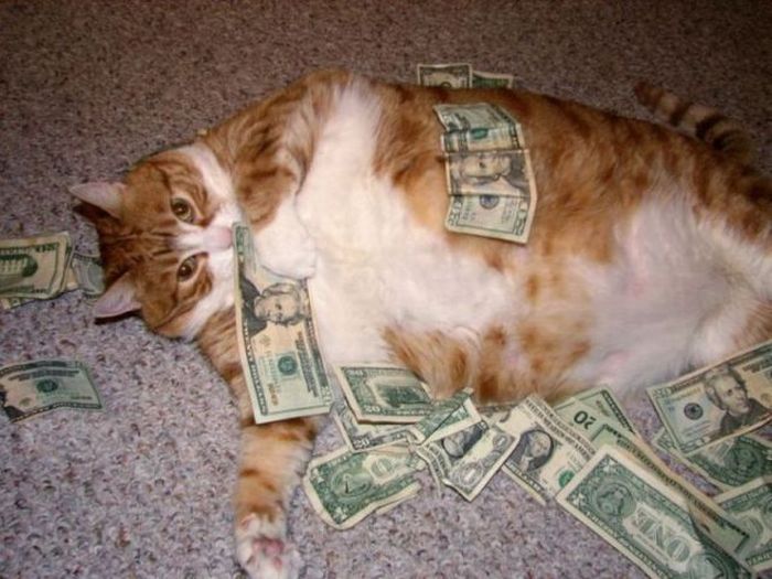 Acid Picdump (147 pics)