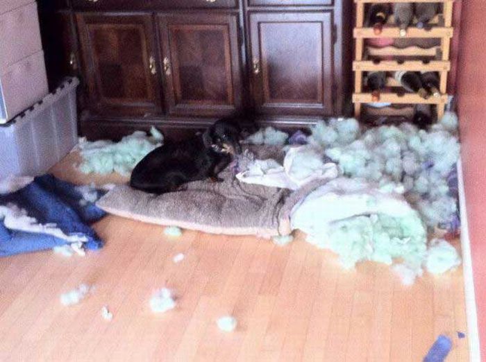 Acid Picdump (147 pics)