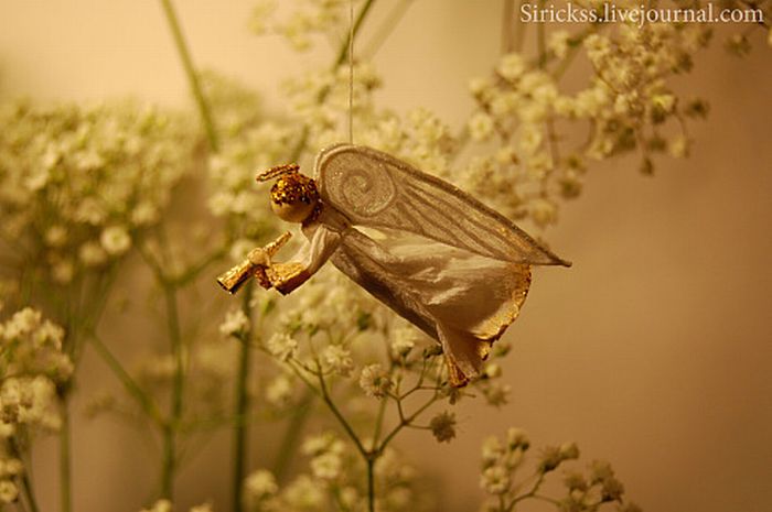 How to Catch an Angel (25 pics)