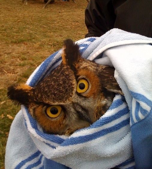 Acid Picdump (99 pics)