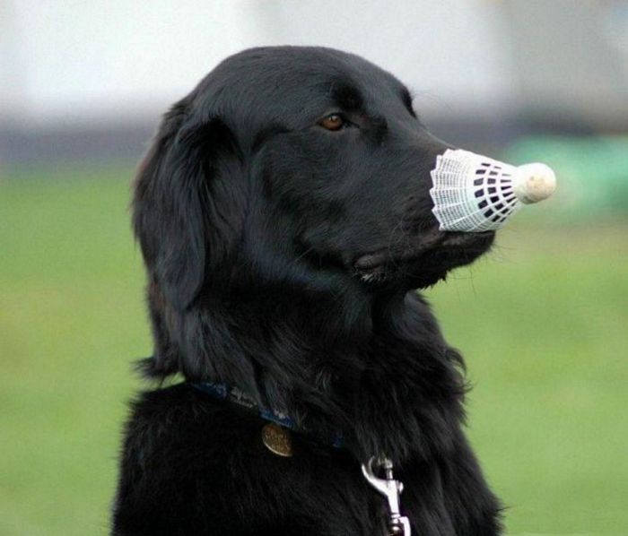Acid Picdump (99 pics)