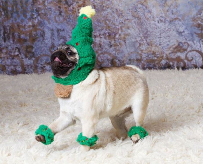 Acid Picdump (99 pics)