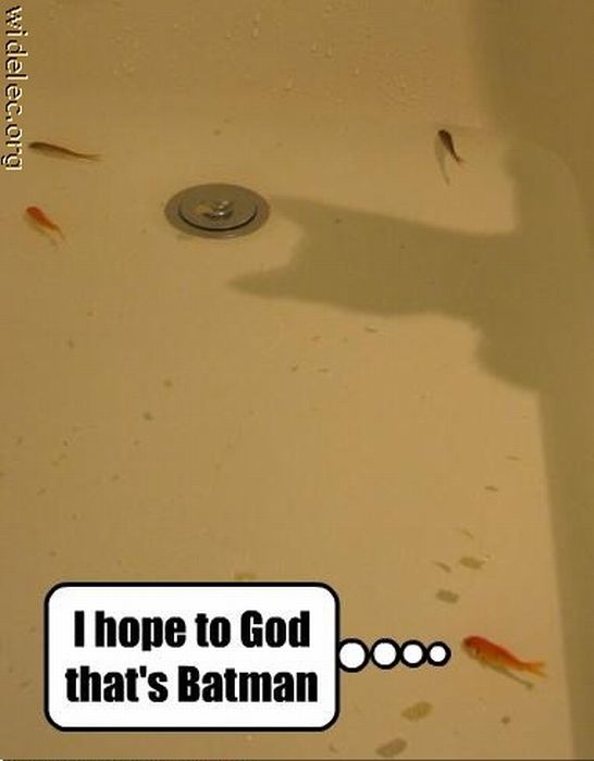 Batman (119 pics)