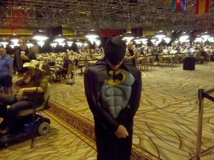 Batman (119 pics)