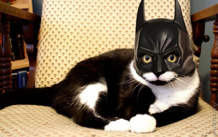 Batman (119 pics)