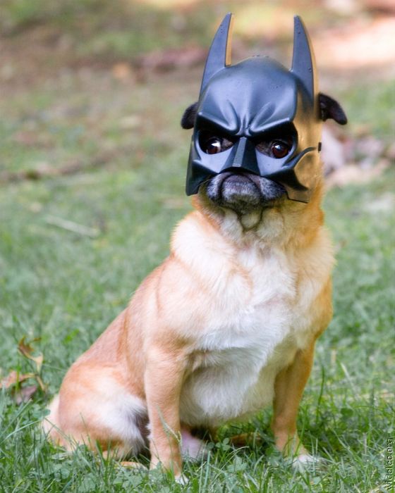 Batman (119 pics)
