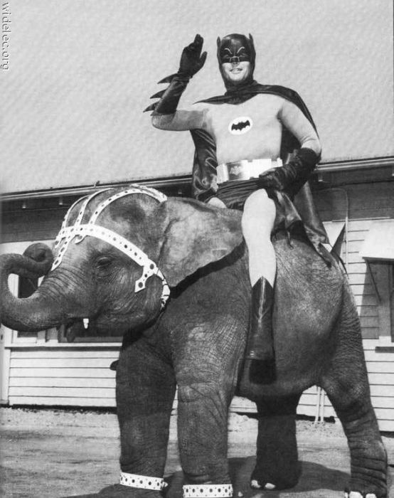 Batman (119 pics)