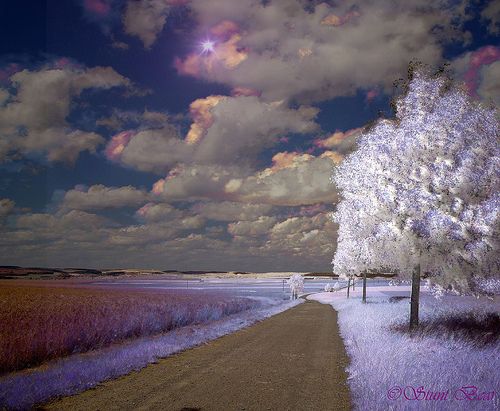 Beautiful Infrared Landscapes (75 pics)
