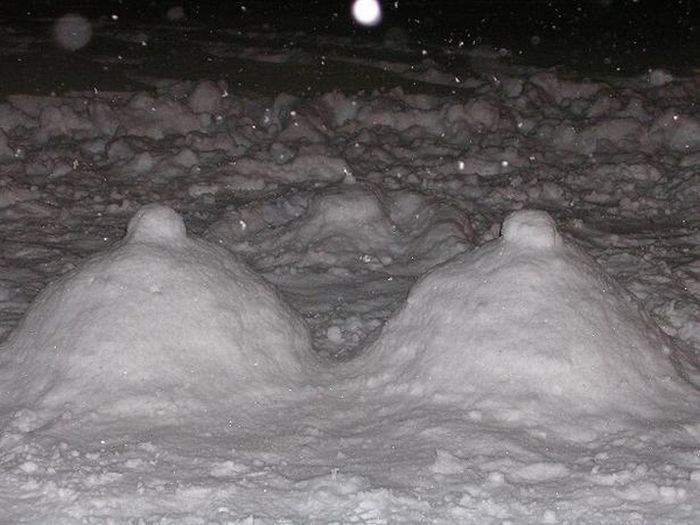 Snow Boobs (40 pics)