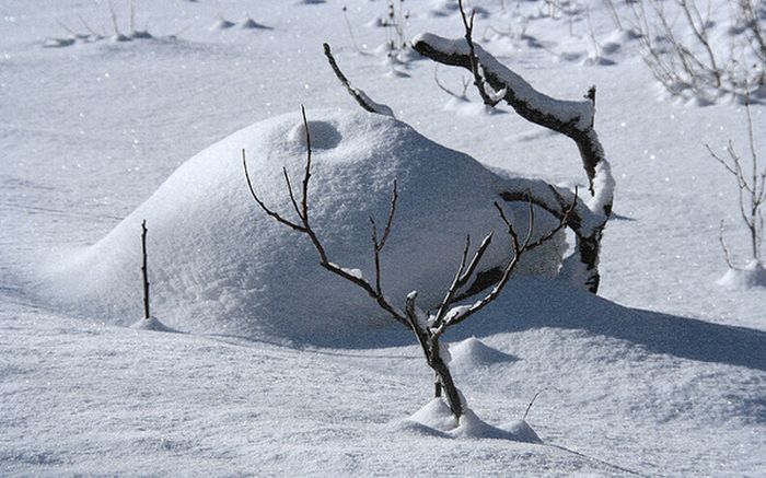 Snow Boobs (40 pics)