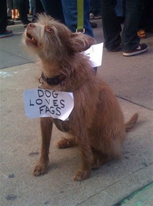 Funny Protest Signs (25 pics)