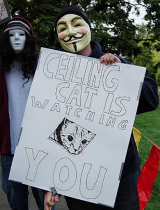 Funny Protest Signs (25 pics)