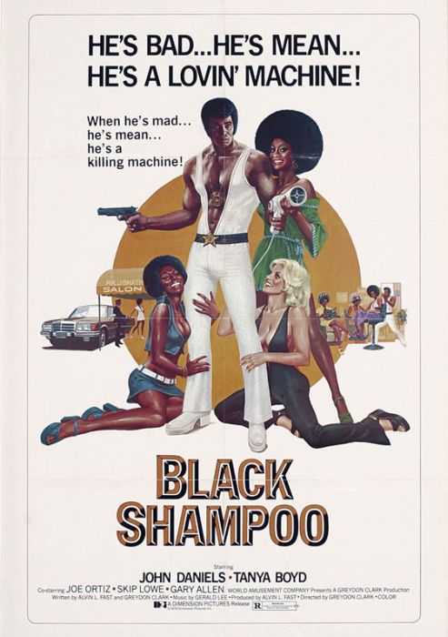 Blaxploitation Movies (60 pics)