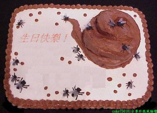 Turd Cakes (40 pics)