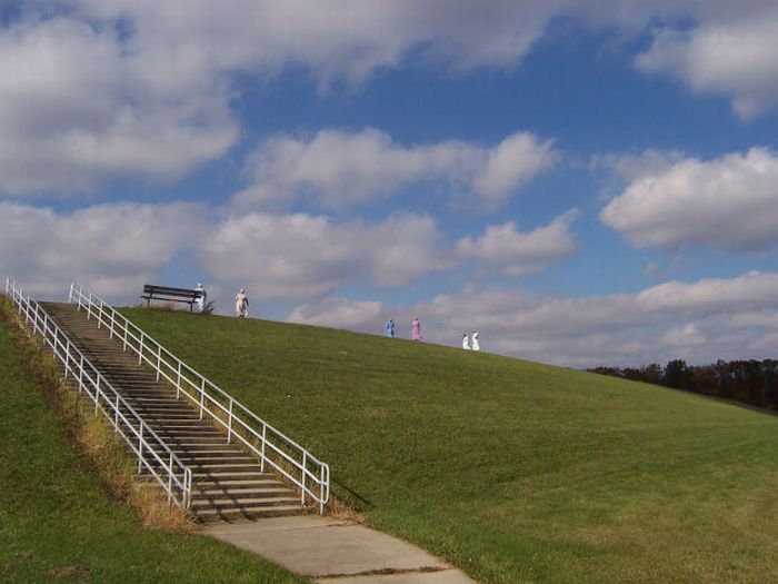 Rollerblading Amish People (32 pics)