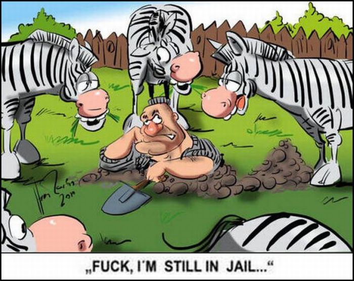 Funny Collection of Cartoons (51 pics)