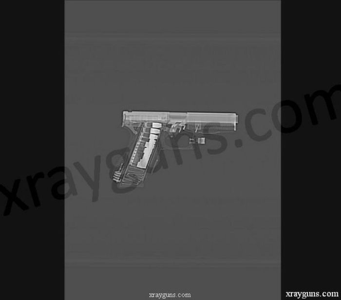 X rayed Guns (16 pics)