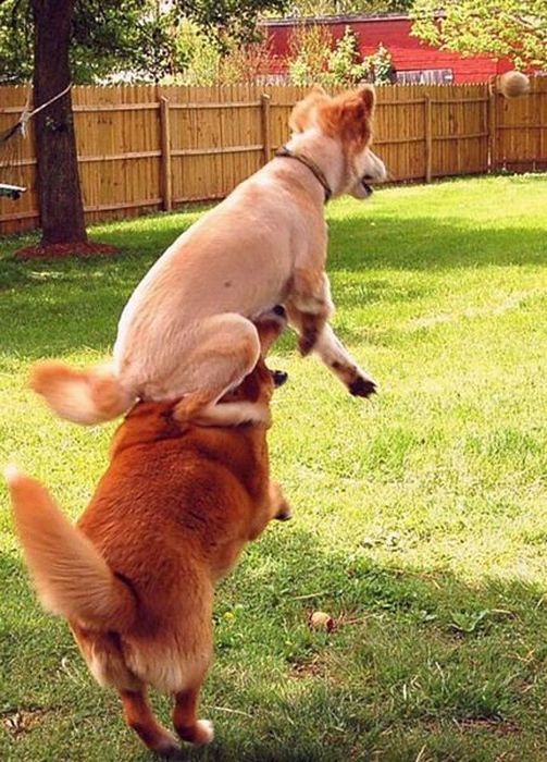 Acid Picdump (96 pics)