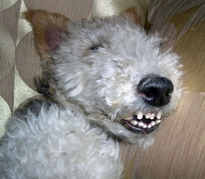 Acid Picdump (96 pics)