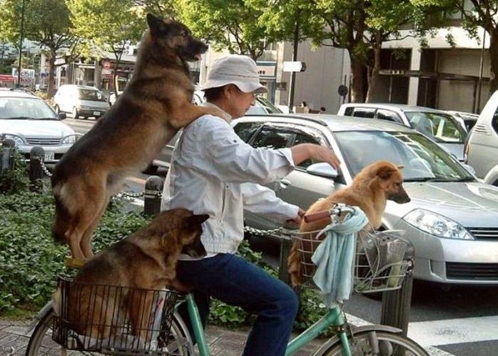 Acid Picdump (96 pics)
