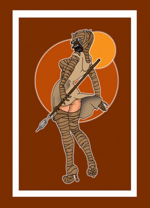 How Do You Like Your Star Wars Pin Ups? (9 pics)