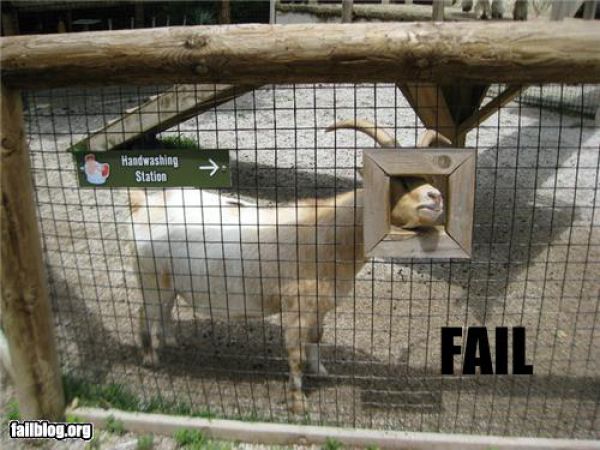 Epic Fails. Part 15 (66 pics)