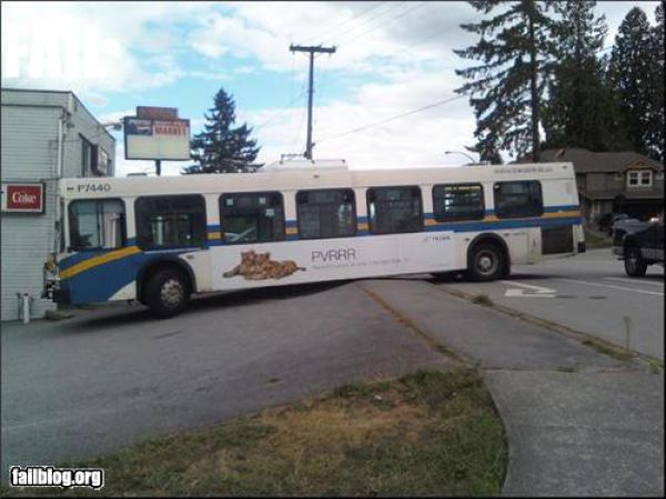 Epic Fails. Part 15 (66 pics)