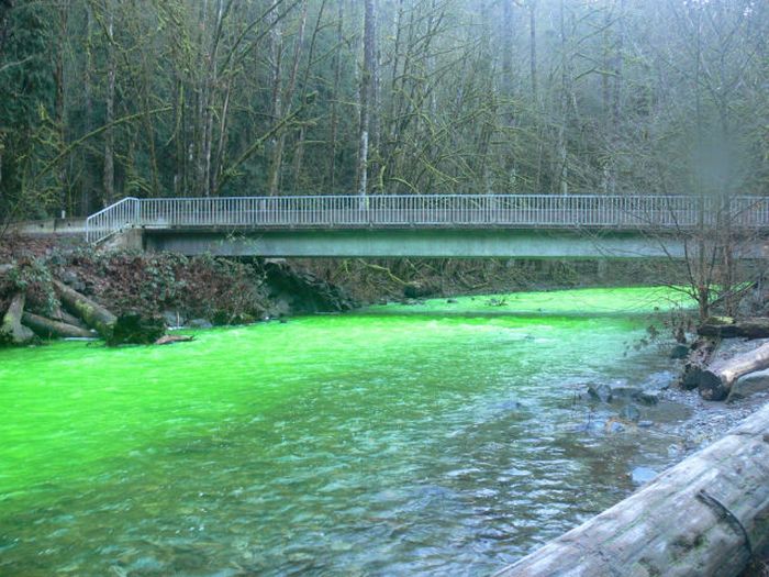 Neon Green River (17 pics + 1 video)