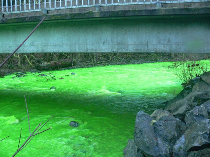 Neon Green River (17 pics + 1 video)
