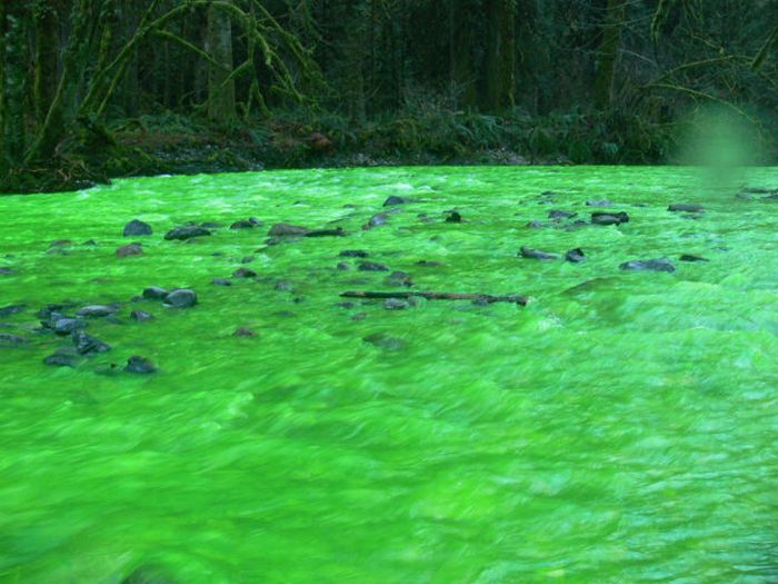 Neon Green River (17 pics + 1 video)