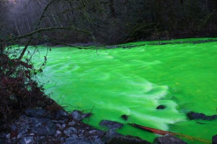 Neon Green River (17 pics + 1 video)