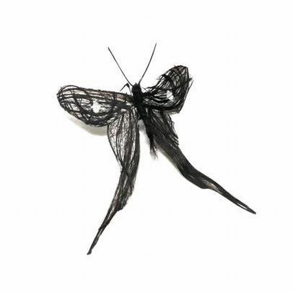 Adrienne Antonson Makes Insects Out of Human Hair (14 pics)