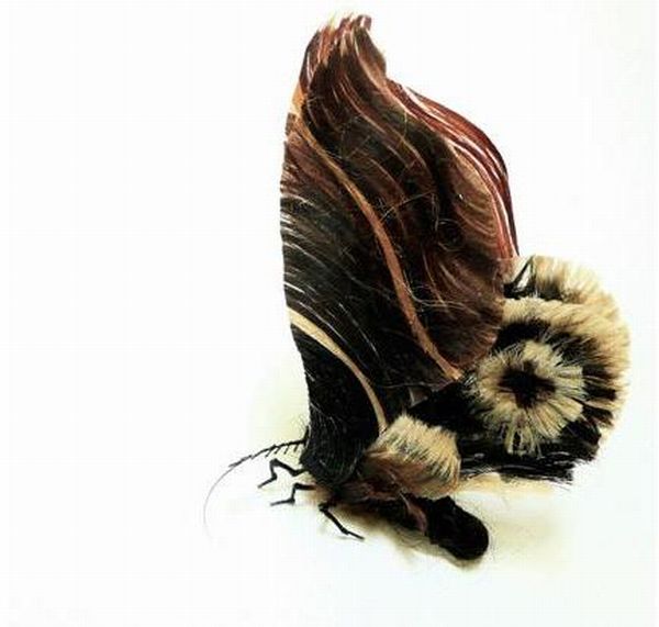 Adrienne Antonson Makes Insects Out of Human Hair (14 pics)
