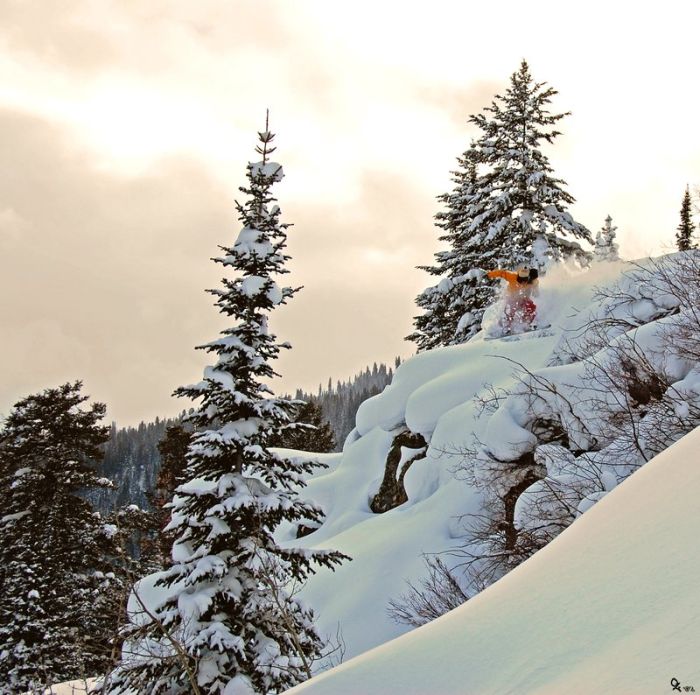 Snowboarding and Surfing (45 pics)