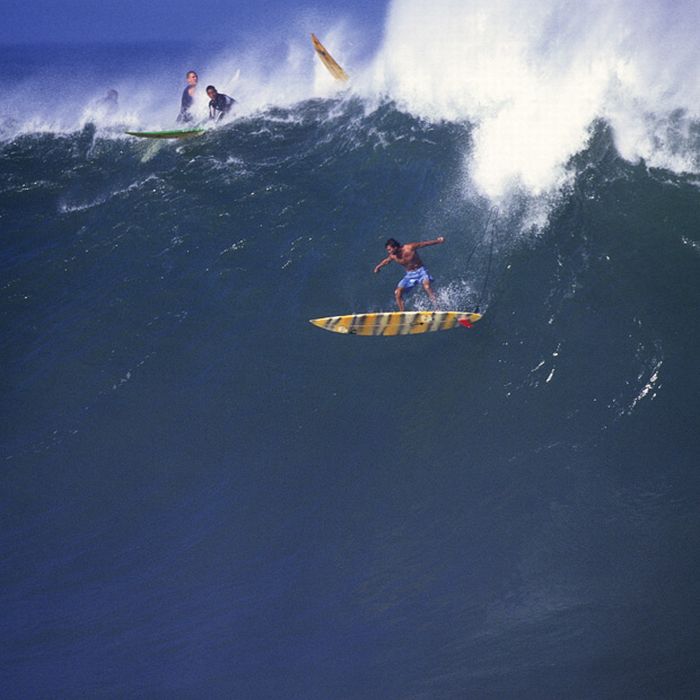 Snowboarding and Surfing (45 pics)