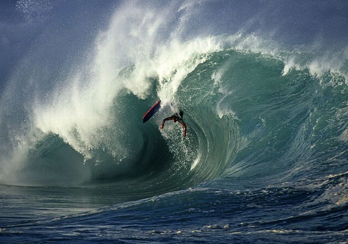 Snowboarding and Surfing (45 pics)