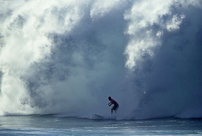 Snowboarding and Surfing (45 pics)