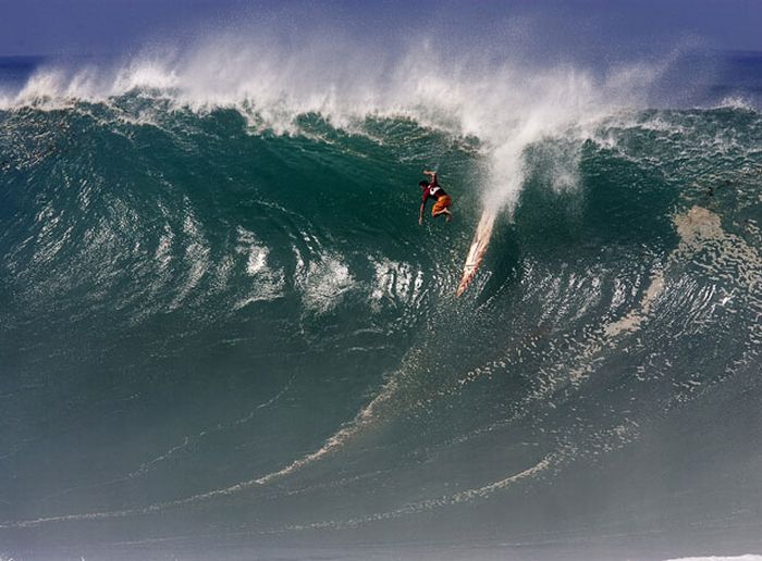 Snowboarding and Surfing (45 pics)