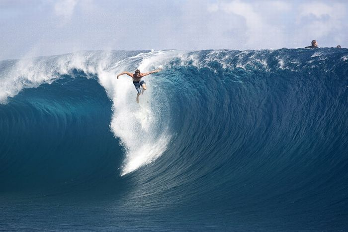 Snowboarding and Surfing (45 pics)