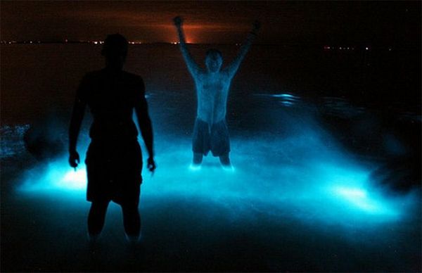 Bioluminescent Lake in Australia (8 pics)