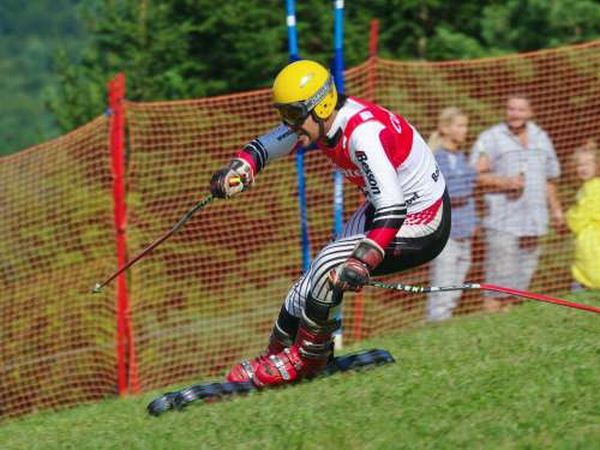 Grass Skiing (21 pics)