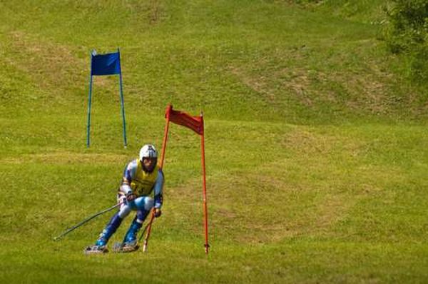 Grass Skiing (21 pics)