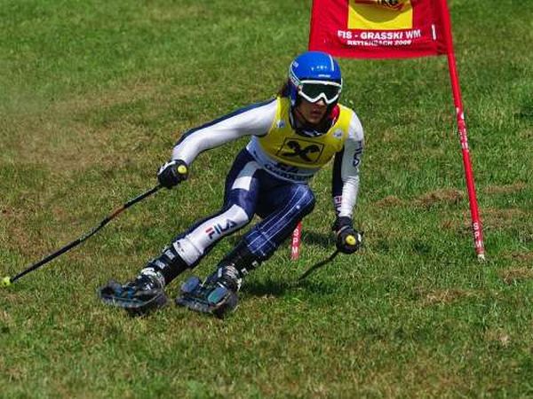 Grass Skiing (21 pics)