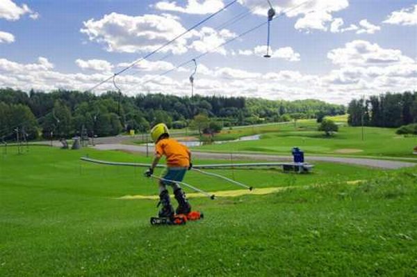 Grass Skiing (21 pics)